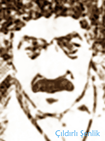 şenlik.jpg